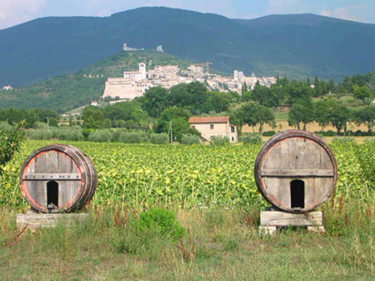 Hotel La Quiete Assisi Exterior foto